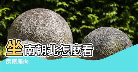 風水坐向|坐南朝北怎麼看？房屋座向、財位布置教學，讓你兼顧運勢與居住。